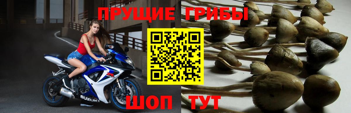 Галлюциногенные грибы прущие грибы  Вход с VPN  Краснодар 